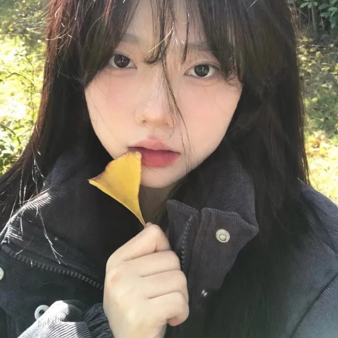 初恋日记粤语